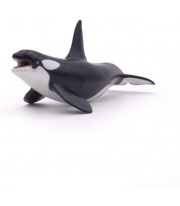 Orca Ballena Ref: 56000