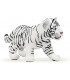 Cria Tigre Blanco Ref: 50048