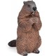 Marmota Ref: 50128