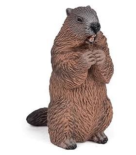 Marmota Ref: 50128