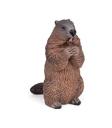 Marmota Ref: 50128
