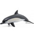 Delfin Comun Ref: 56055