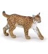 Lince Ref: 50241