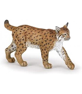 Lince Ref: 50241