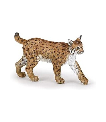 Lince Ref: 50241