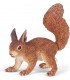 Ardilla Ref: 50255