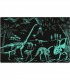 Puzzle Dinos Brillan Oscurida Ref: 19435