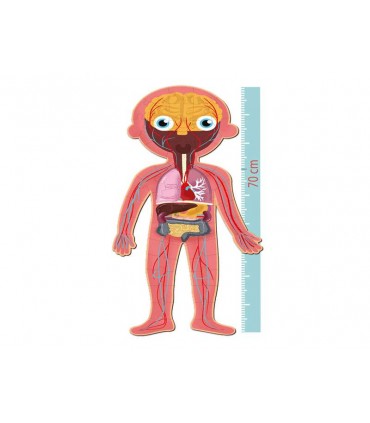 Puzzle Cuerpo Humano Ref: 19438