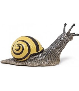 Caracol Arboleda Ref: 50285