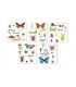 Exp.Peg.Animales Especias Ref: 19576