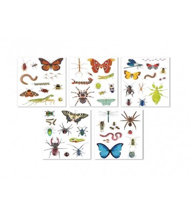 Exp.Peg.Animales Especias Ref: 19576
