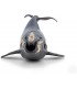 Ballena Boreal Ref: 56057