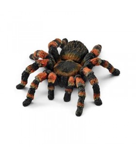 Tarantula Ref: 14829 