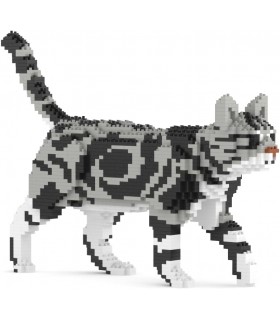 American Shorthair Cat 02S-M01B