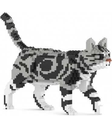 American Shorthair Cat 02S-M01B