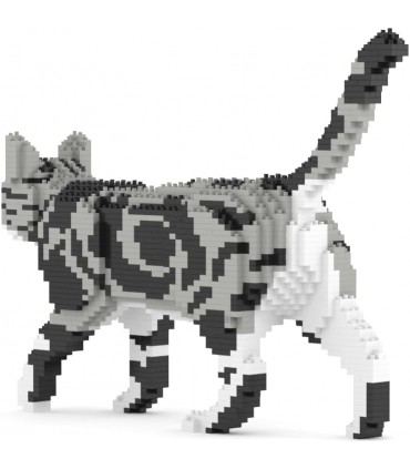 American Shorthair Cat 02S-M01B