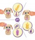 Baby Paws Just BornPuppy Ref: 923478