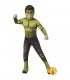 Disfraz Hulk Classic Ref: 700648-M