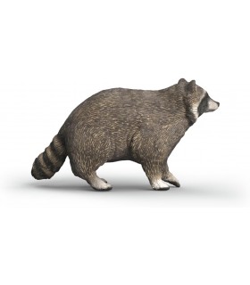 Mapache Ref: 14937