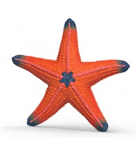 Estrella De Mar Cambia Color Ref: 14902