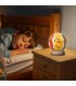 Puzzle 3D NightLight Ref: 08053