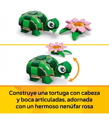 Tortuga C/Flor De Nenufar Ref: 31377