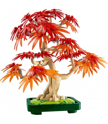 Bonsai De Arce Rojo Japones 10348
