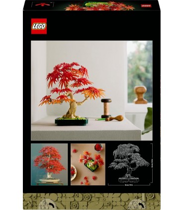 Bonsai De Arce Rojo Japones 10348
