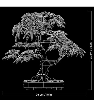 Bonsai De Arce Rojo Japones 10348