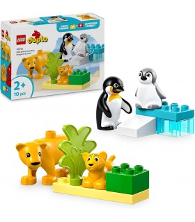 Familia Pinguinos Y Leones 10442
