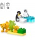 Familia Pinguinos Y Leones 10442