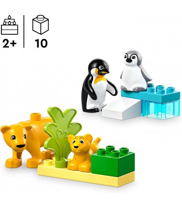 Familia Pinguinos Y Leones 10442