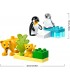 Familia Pinguinos Y Leones 10442