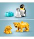 Familia Pinguinos Y Leones 10442