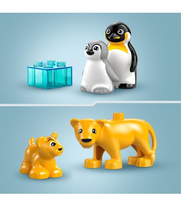 Familia Pinguinos Y Leones 10442