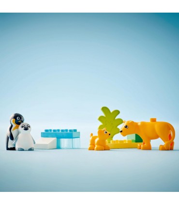 Familia Pinguinos Y Leones 10442