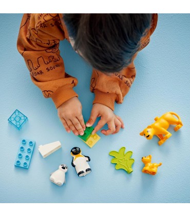 Familia Pinguinos Y Leones 10442