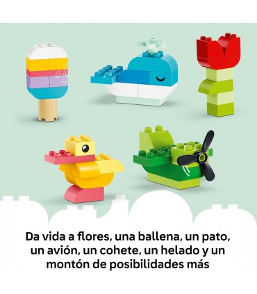 Caja Creativa A Todo Color Ref: 10479
