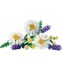 Margaritas Ref: 11508