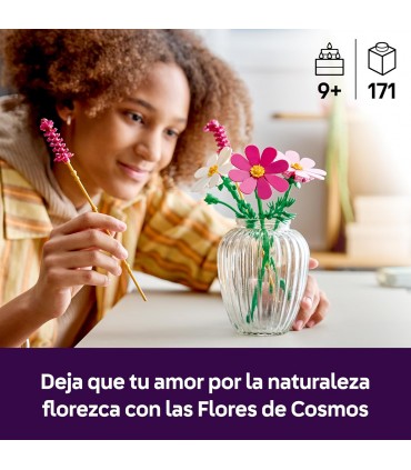 Flores De Cosmos Ref: 11514