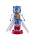 Sonic Flying Heroes Ref: CO08133