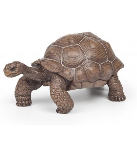 Tortuga Galapago Ref: 50161