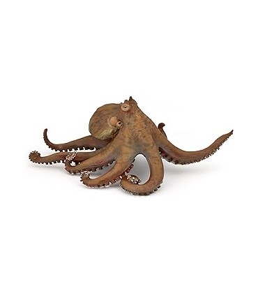 Pulpo Ref: 56013