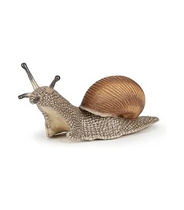 Caracol Ref: 50262